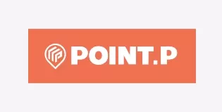 Point P